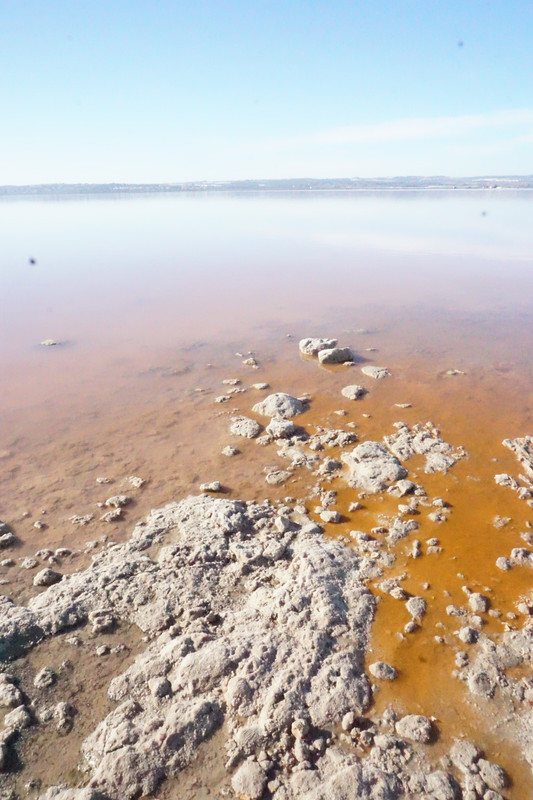 PN Lagunas La Mata y Salinas Torrevieja -Vega Baja, Alicante - Foro Comunidad Valenciana