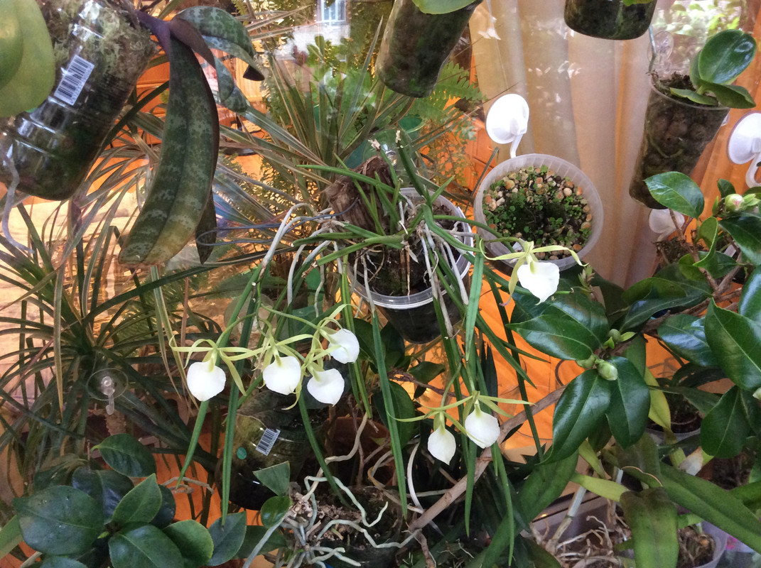 A9B523B9-ADB2-40D7-A2BD-D38843C519F7