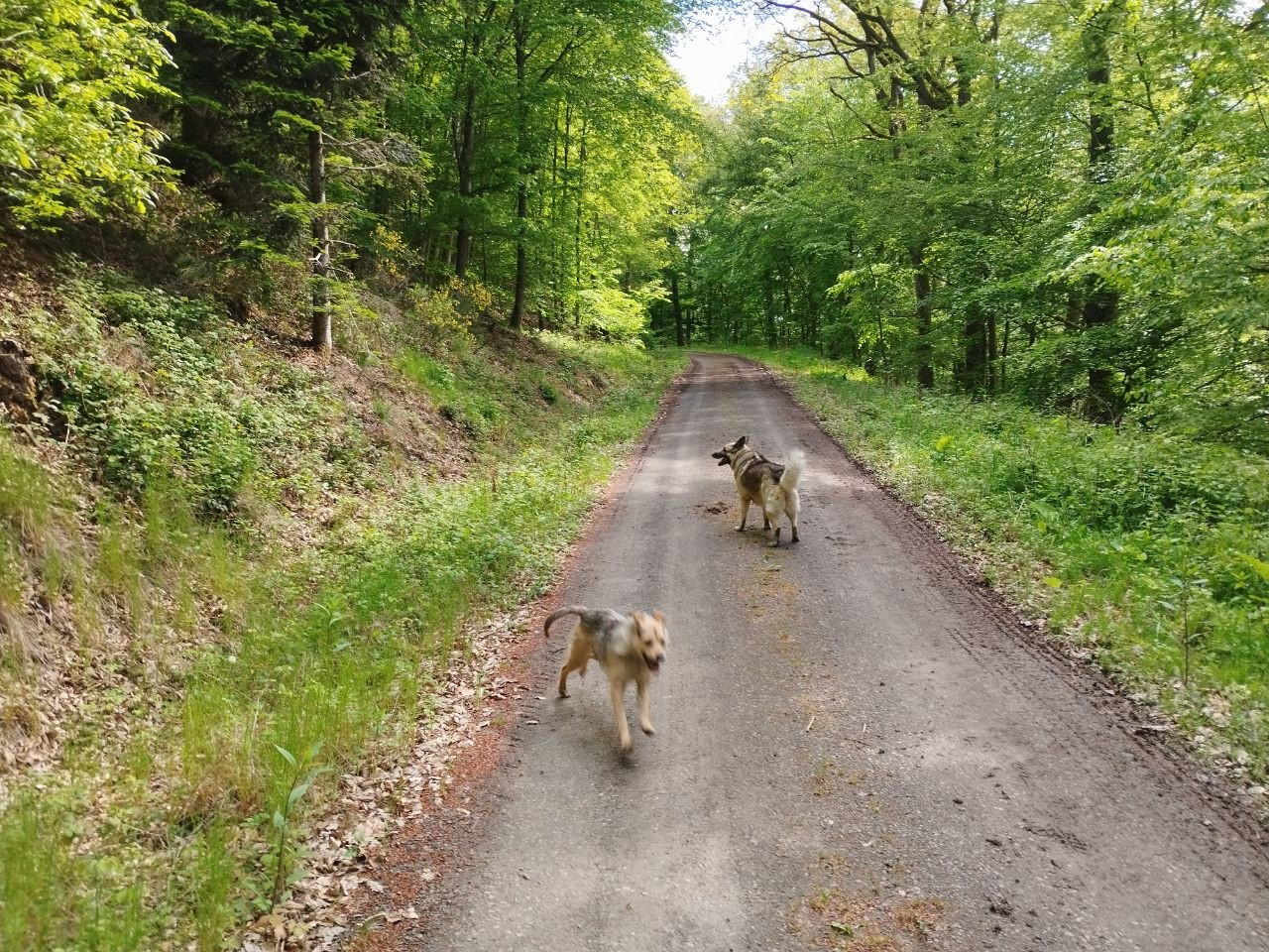 photo 2026 05 15 18 19 59