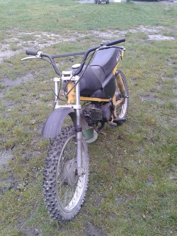 10807031_855947937769713_505127843_n