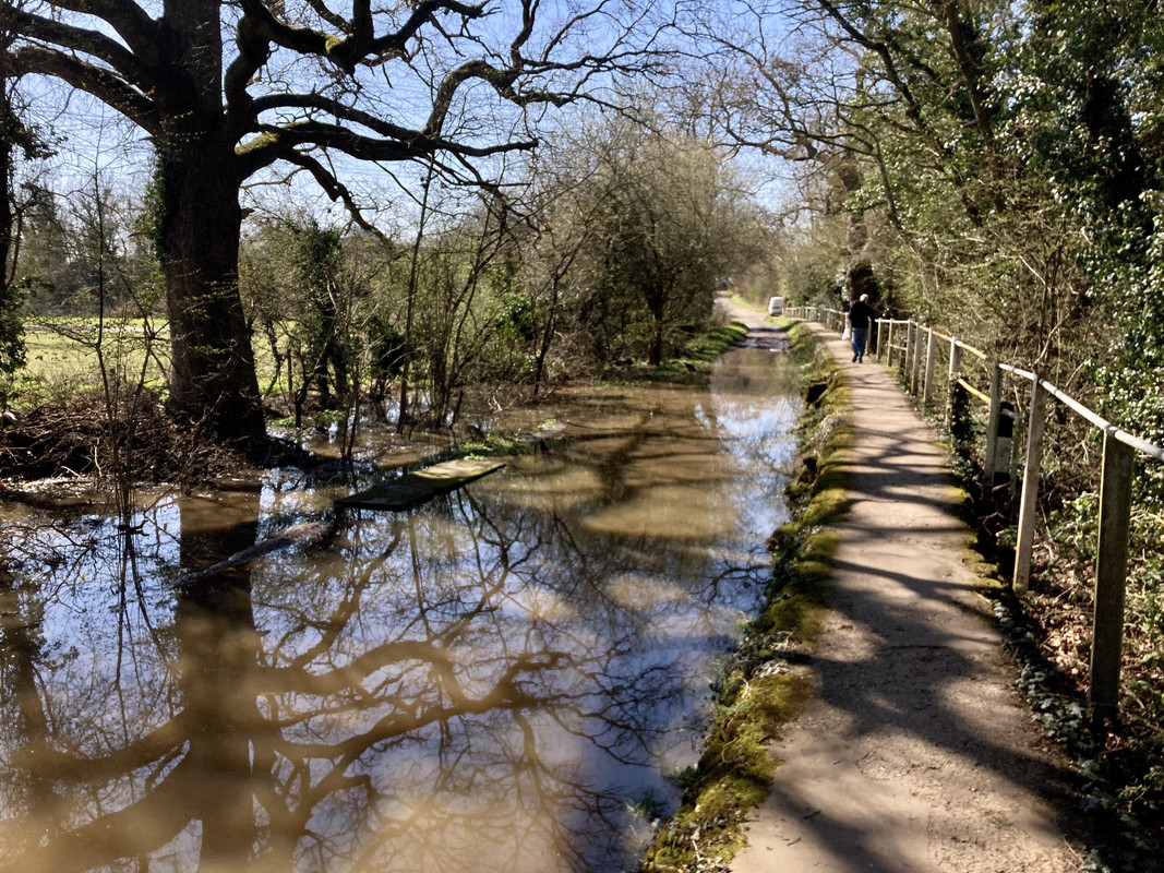 5E3DE330-396E-4C72-99DB-0649F692A574