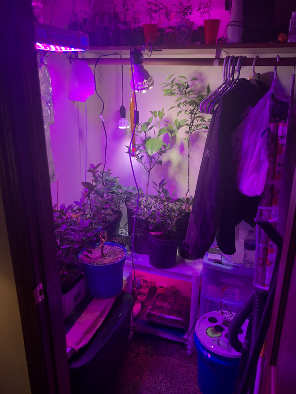 21D98457-800E-4EF0-A64E-7140BABD70ED