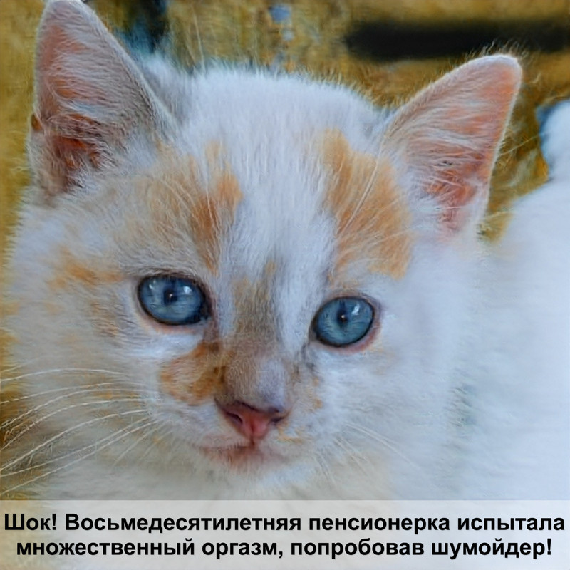 порода кошек и собак с коротким хвостом