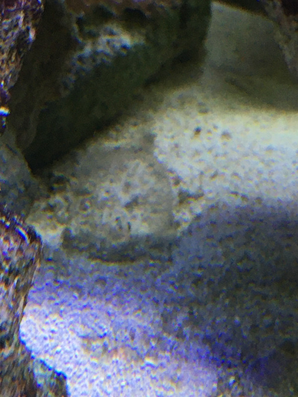 BACEF578-196F-48BD-8399-5A8DC20CF4EA