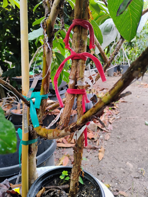 IMG_20251015_104411458_AE