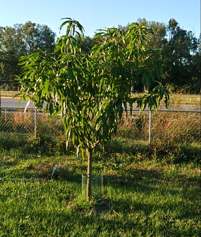 20211223_165148_HDR-1