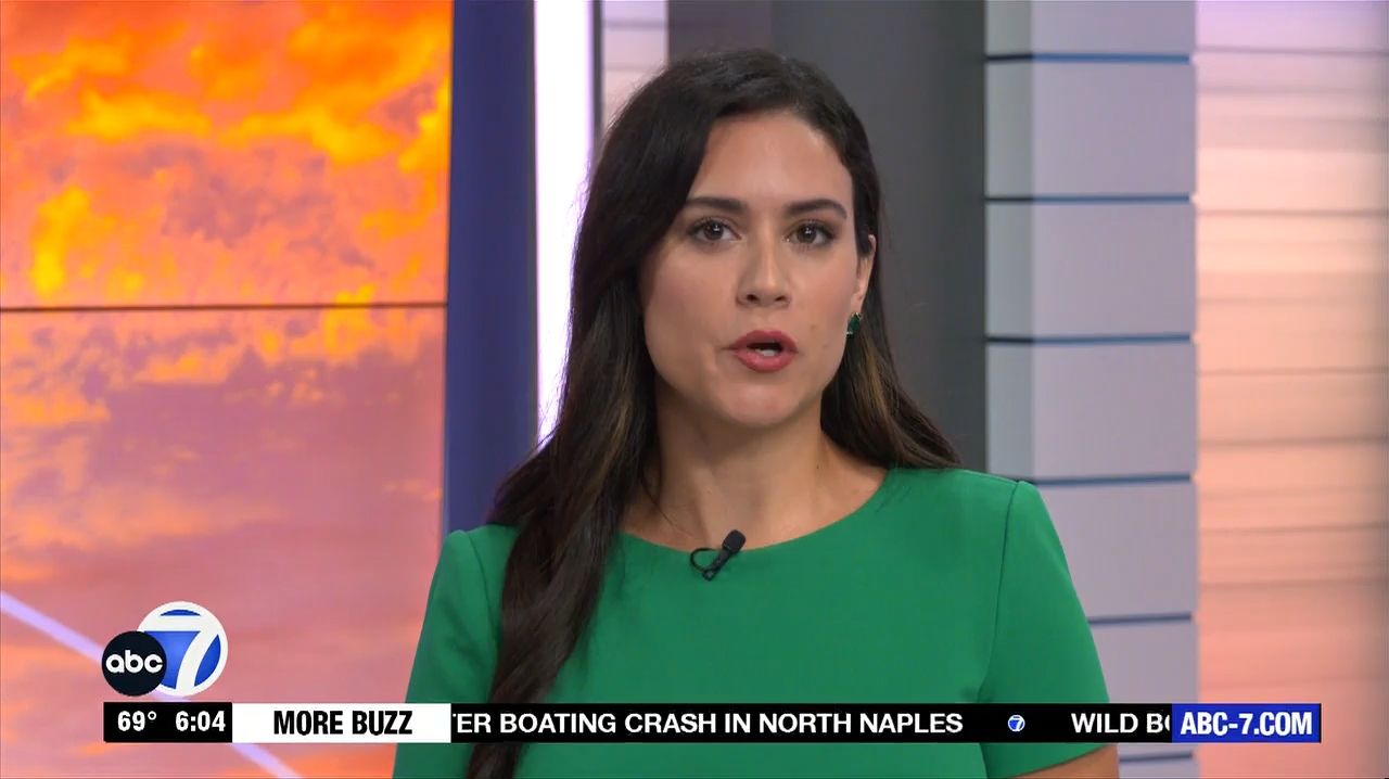 Abc7 More In The Morning Wkn 6Am Su 20240317 10001100-1.mp4_snapshot_05.19.332