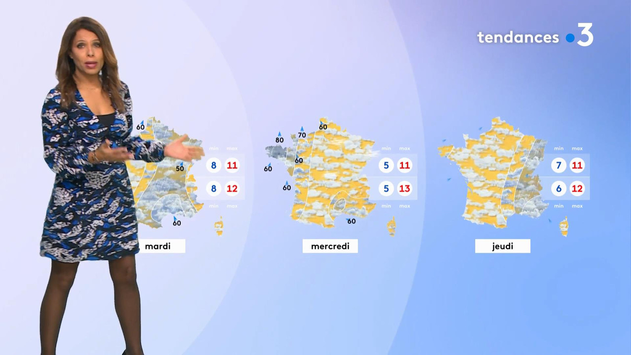 vlc-record-2021-03-23-00h38m19s-2020-12-13_21_00_Fr3_Meteo.mp4-.mp4_snapshot_02.17_[2021.03.23_00.59