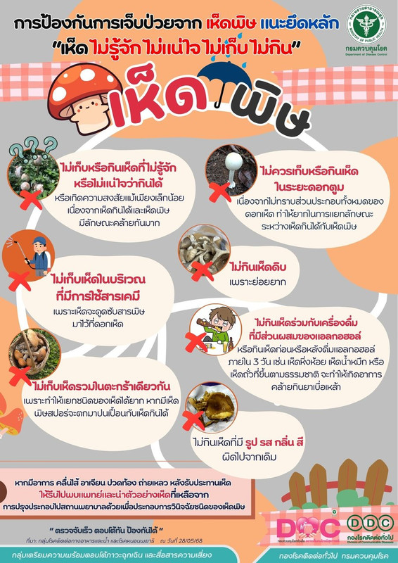 เห็ดพิษ