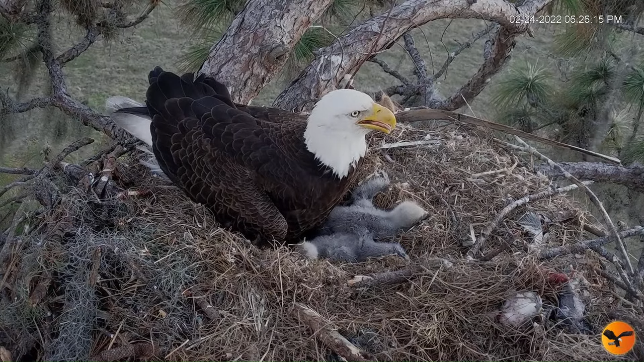 EC 4K Overhead Cam 5-25-24 screenshot