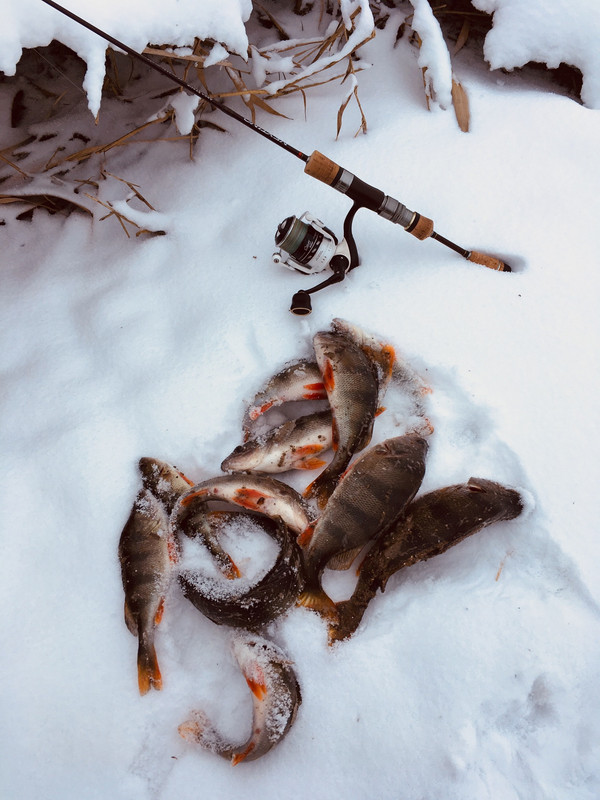 760510F1-FBB2-4DC1-A599-AF10799C01E3