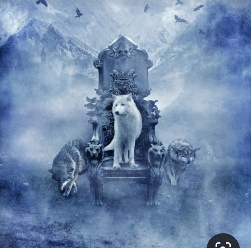 Screenshot_20230904_212822_Pinterest