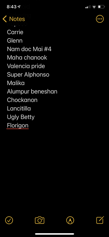 29275C63-24E5-4E04-985F-1CAA254F9A4C