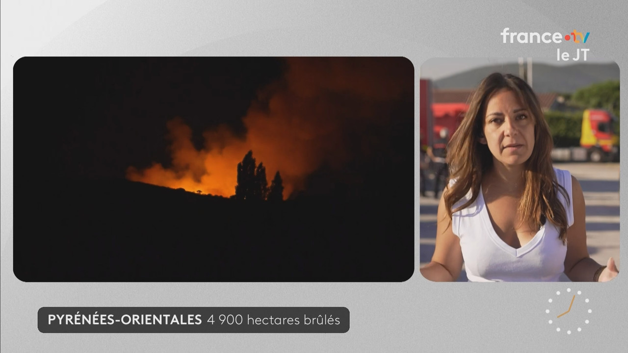 Journal 08h00 (France 2) 2026 07 07 06 55 12 ts snapshot 08 56 725