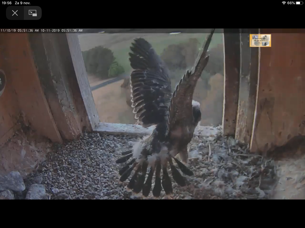 F9BE0220-2DB1-4B31-B347-F97E6E553547