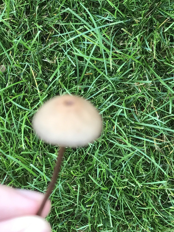 54A2C57F-A3B1-45CC-A1C8-BE3F82EF2DB2