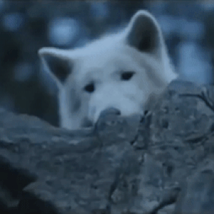 ezgif-3705dca73b89f5.gif