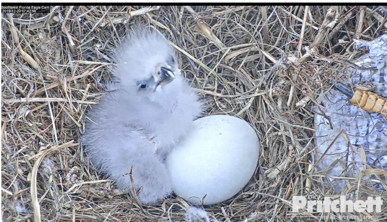 Zuid-West Florida 20191220-01 om 13.59.15