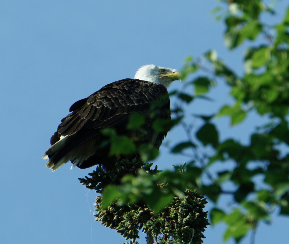 58E1A807-179E-442A-8B94-DA128B9172F9