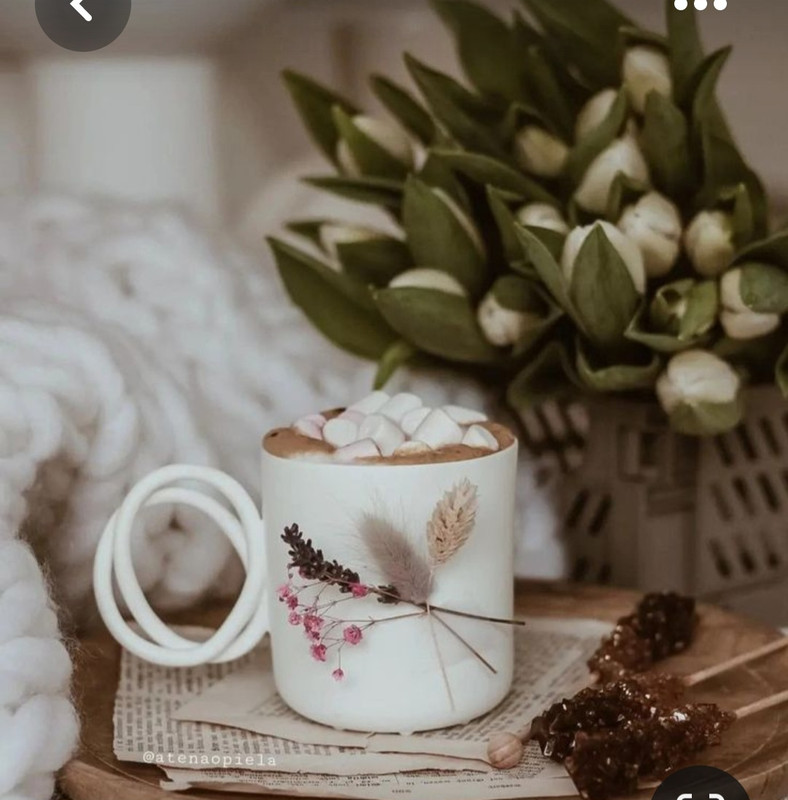 Screenshot_20230508_232127_Pinterest