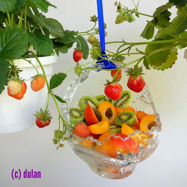 [Image: IMG-20230724-171536.jpg]