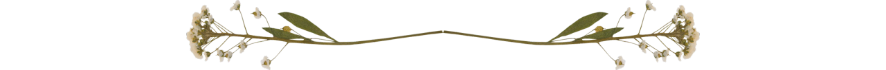 div