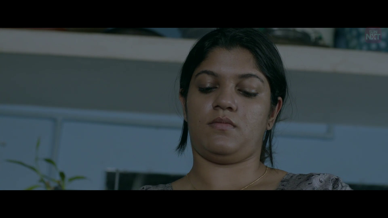 vlcsnap 2026 02 11 15h39m28s400