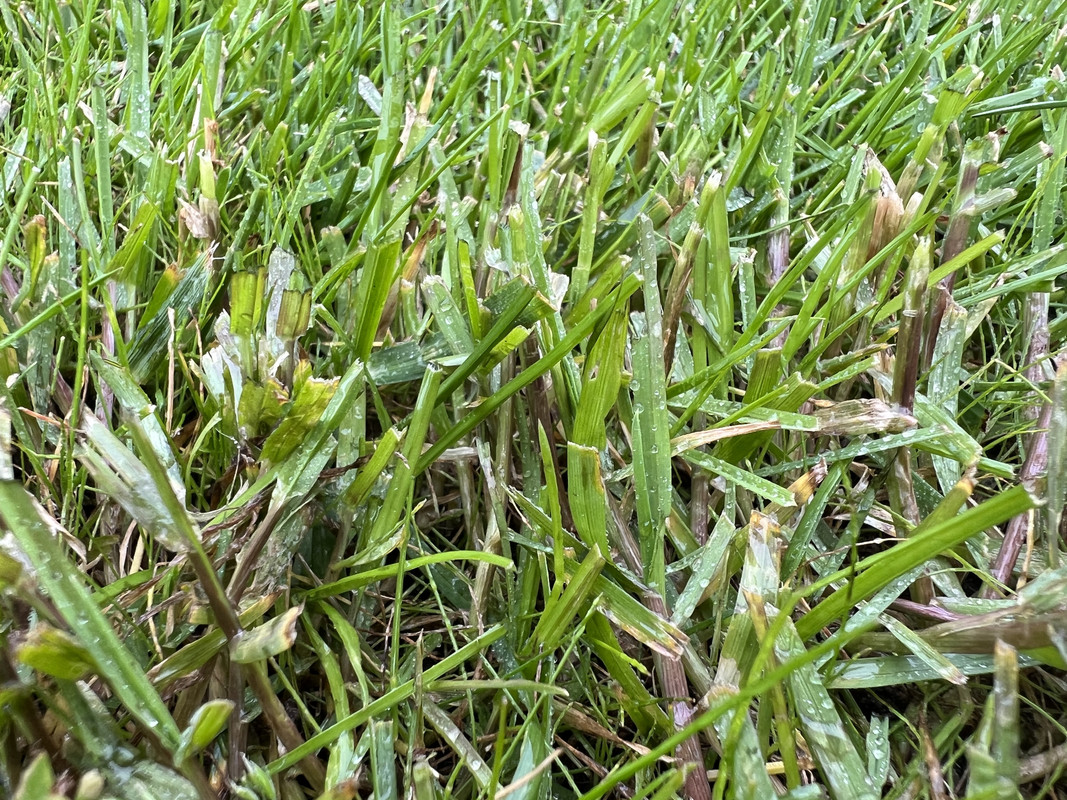 E0CF8D33-2513-4A40-B358-43737327A744