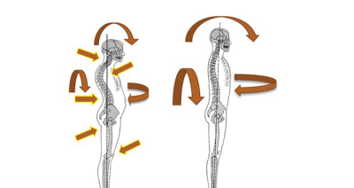 Joint-Wise Yoga Joint-Wise Yoga