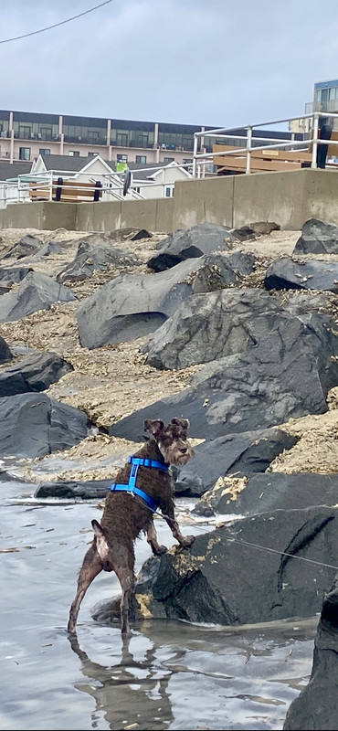 6D0A89A9-F7DD-4E50-906A-1B611EFD7294