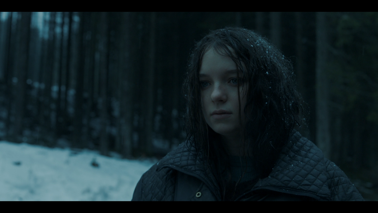 Hanna.1x01.La.foresta.ITA.ENG.1080p.AMZN.WEB-DLMux.H.264-Morpheu