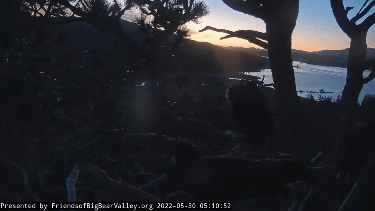 Webp.net-gifmaker (5)