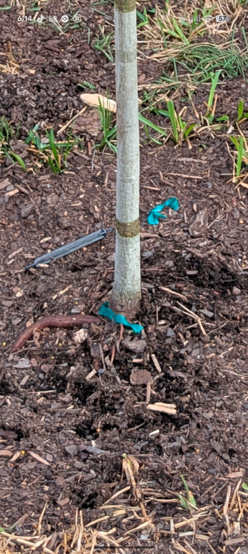 Screenshot 20260305 181439