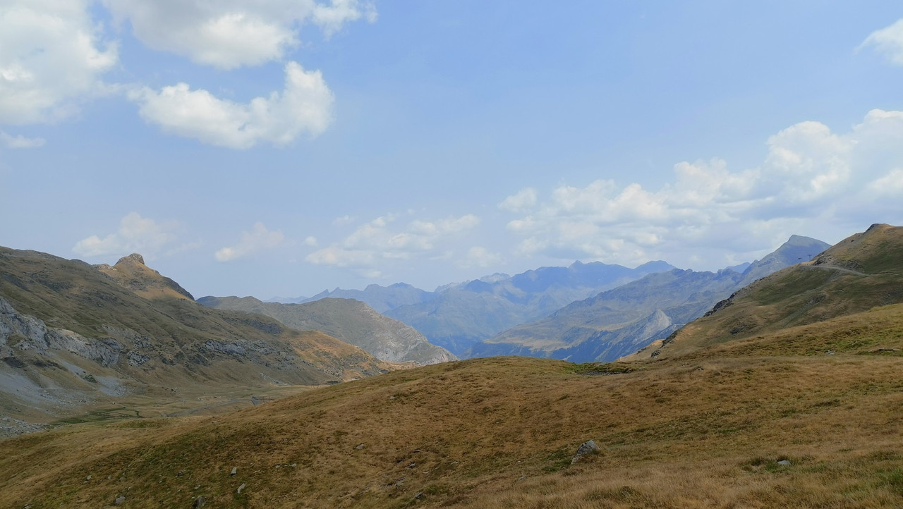 IMG20250814133658 (Large)