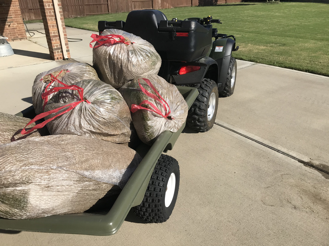 CDBE0DE7-8D28-40D3-88BA-7F39CC94AD47