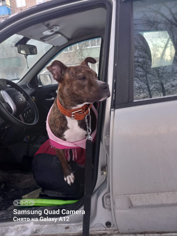 EECA47DA-5E44-4634-B92B-D2AEFABA232E