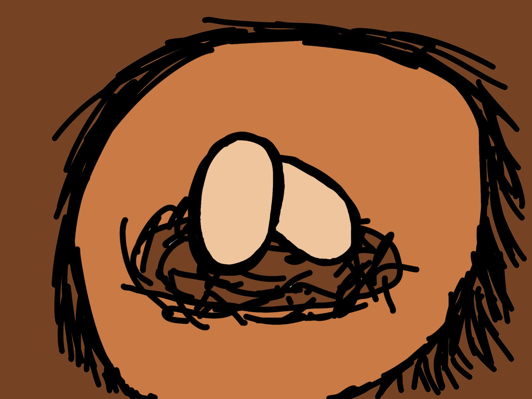 2_eggs_nest