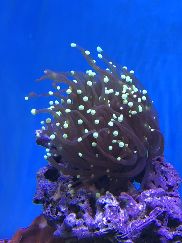 E53558EB-1EB5-41F0-807F-49175AA2FE7B