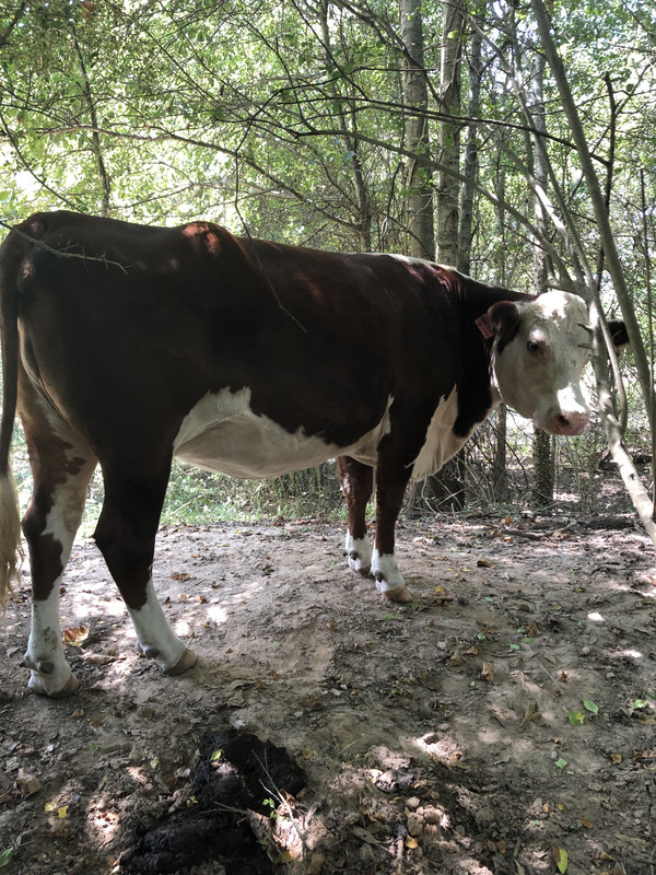 0492725B-0F76-4776-AE8B-773F559783D4