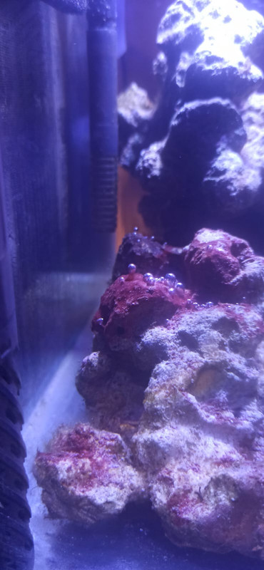 1a02d2ad 46db 4adb 83f0 5d08ccc619fb