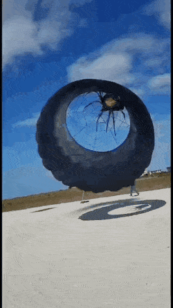WOWGifs-19