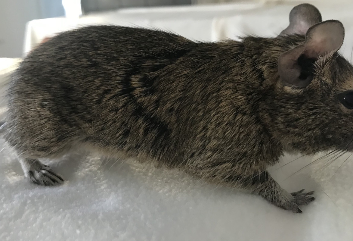 87509048-B117-4505-BED3-CF68B07BEA8D