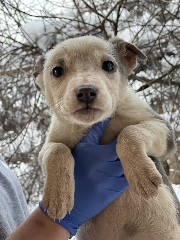 23F69A48-81B3-49E7-AA34-5E8E3C3937C0