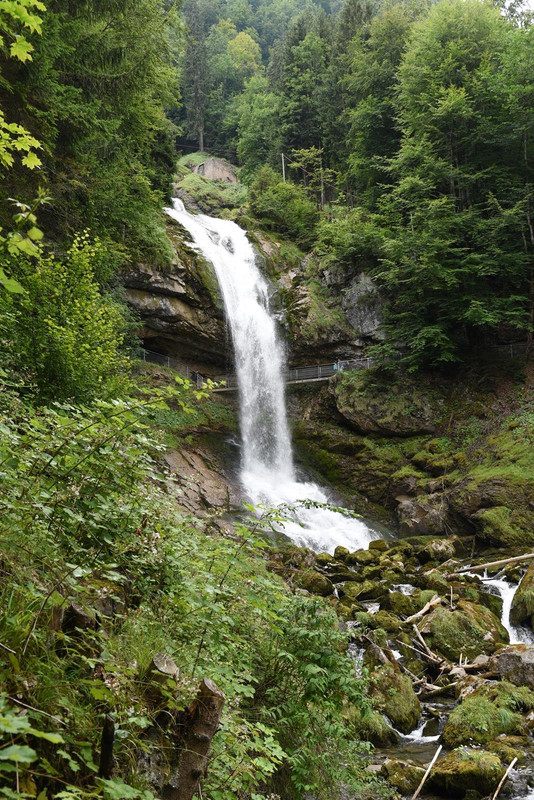 De casa a Grindelwald (Zona de Interlaken) - Huyendo del COVID a los Alpes (2020) (41)