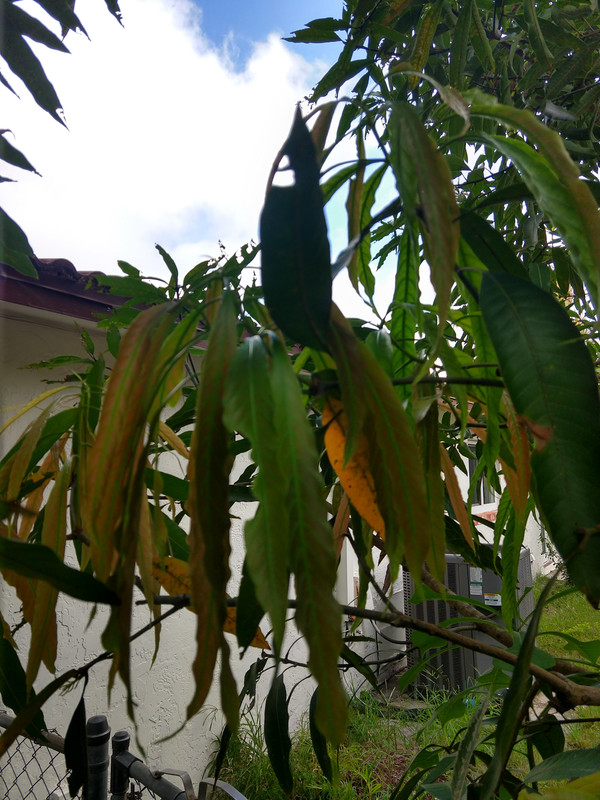IMG_20200920_100248085_HDR