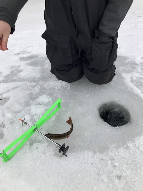 FD575C7C-DBC2-4AE3-8608-89C0DCB6473D