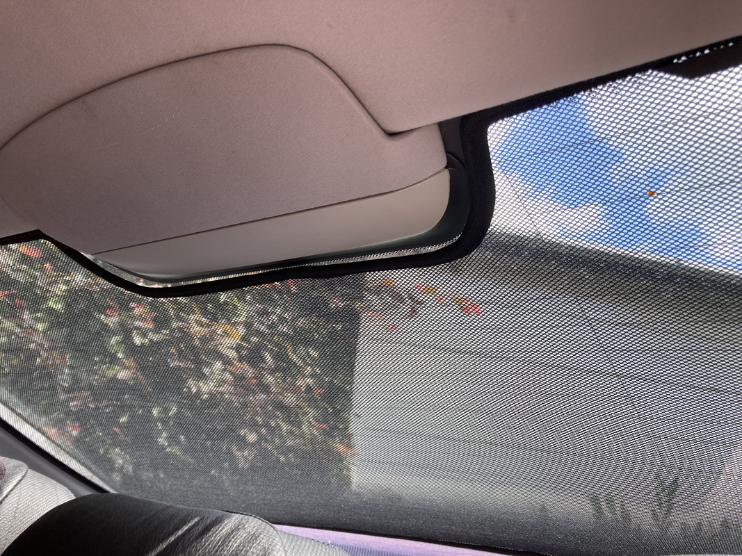 1316C74F-A20A-45A2-A651-546E8D3E3496