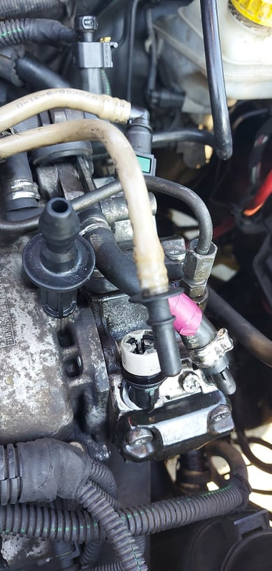 121260996_467269197585249_7946992962346847230_n