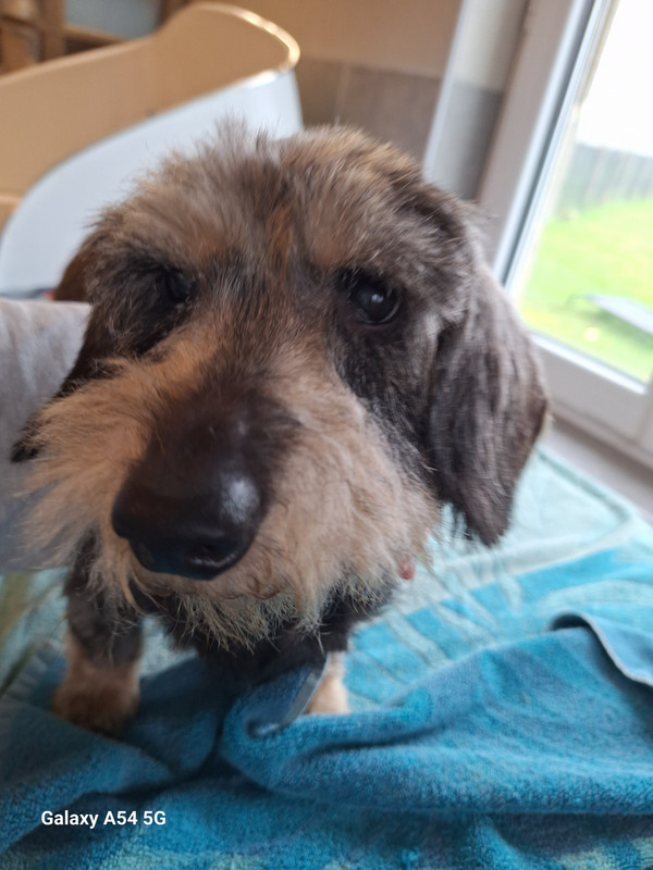 [Image: 20241126-111524-0.jpg]