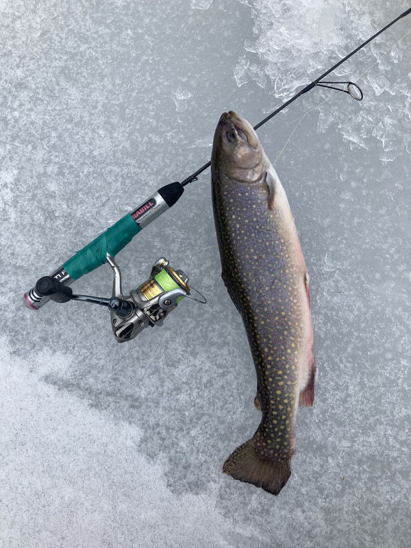 47BA5F4E-DEB1-4EBB-8AAE-044A66299E23